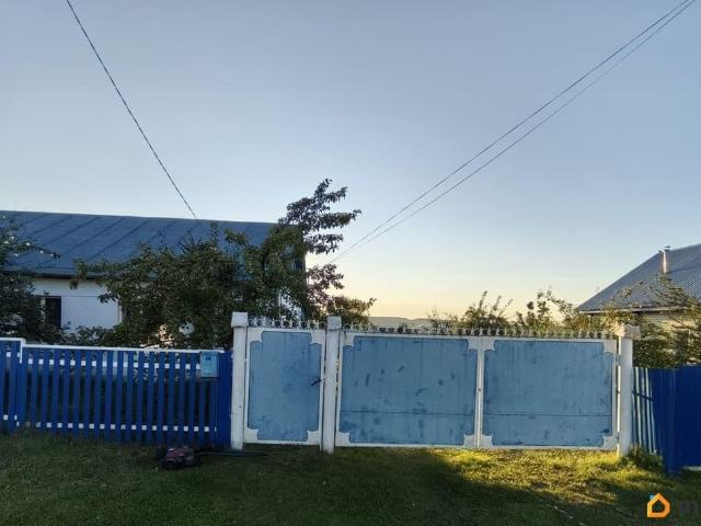 продажа загородная село Большеустьикинское улица Ватолина, 4