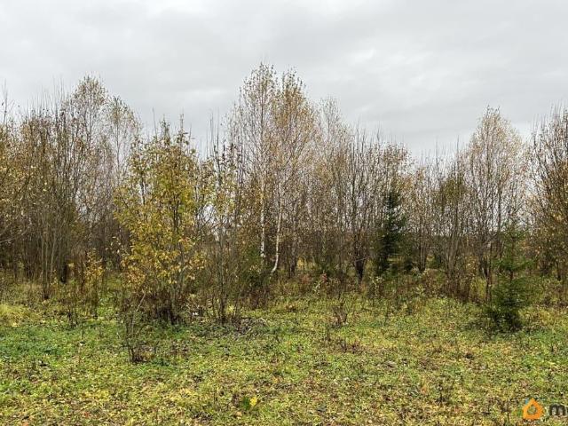 продажа загородная село Большое Кузьминское улица Молодежная, 5