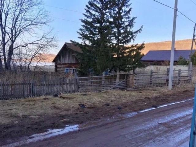 продажа загородная село Большое Озеро улица Заречная, 9