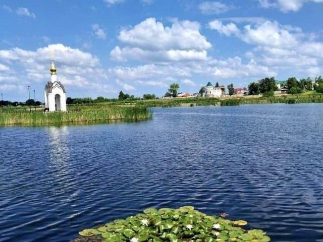 продажа загородная село Дивеево улица Заречная, 78