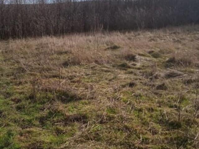 продажа загородная село Дивное ул. Центральная