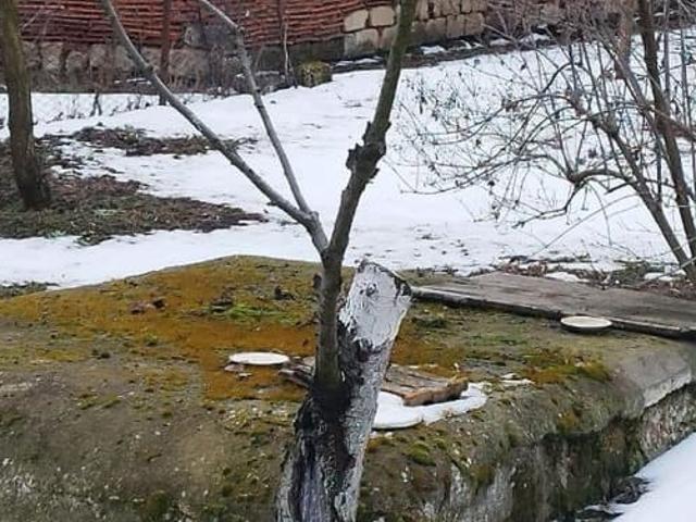 продажа загородная село Дмитровка улица Киевская, 37