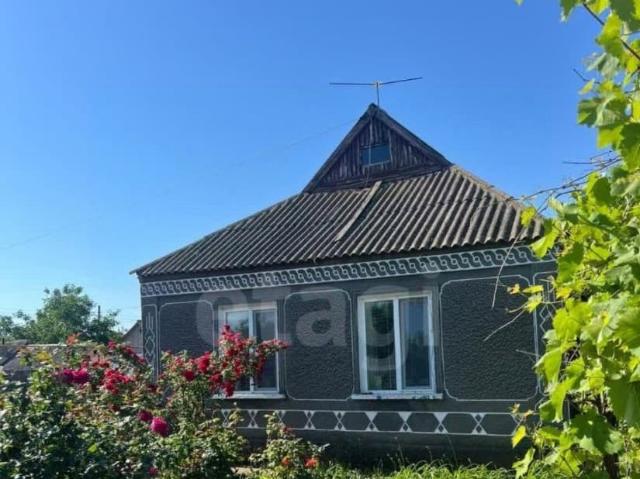 продажа загородная село Дмитриевка улица Зеленая, 2
