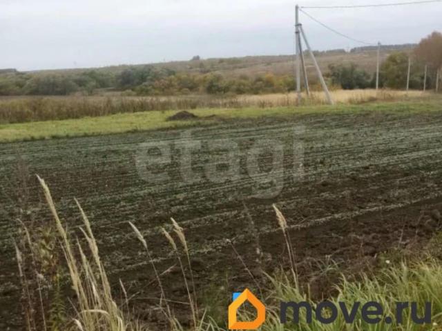 продажа загородная село Дмитриевское улица Соломыково