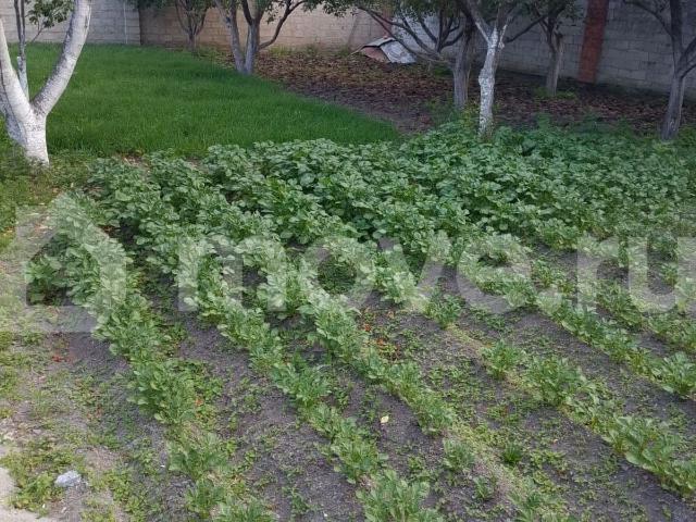 продажа загородная село Дур Дур ул. Магометова, 23