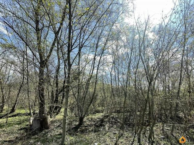 продажа загородная село Дзуарикау улица Бритаева