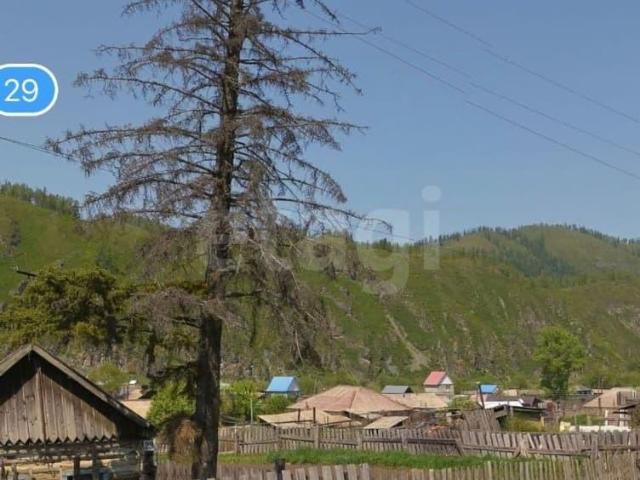продажа загородная село Шебалино Партизанская улица, 29