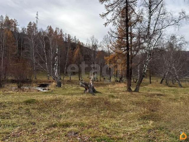 продажа загородная село Шебалино Почтовая улица