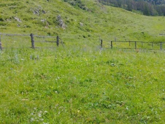 продажа загородная село Шебалино улица Радуги, 2