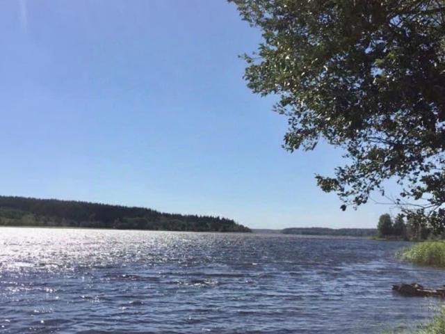 продажа загородная село Едрово улица Щебзавода