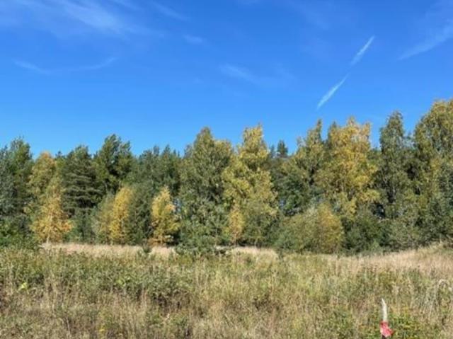 продажа загородная село Едрово улица Щебзавода