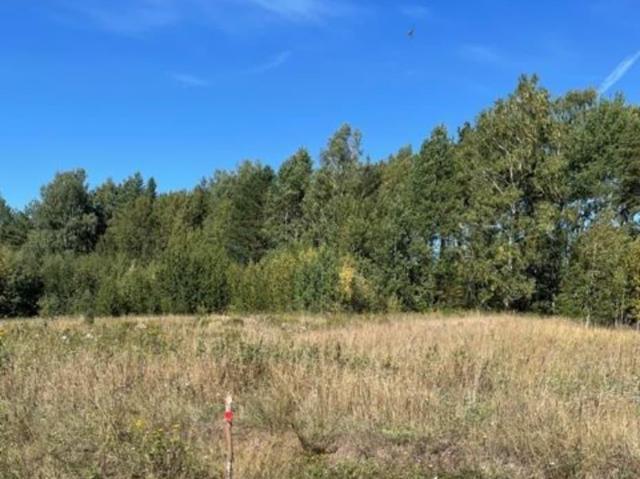 продажа загородная село Едрово улица Щебзавода