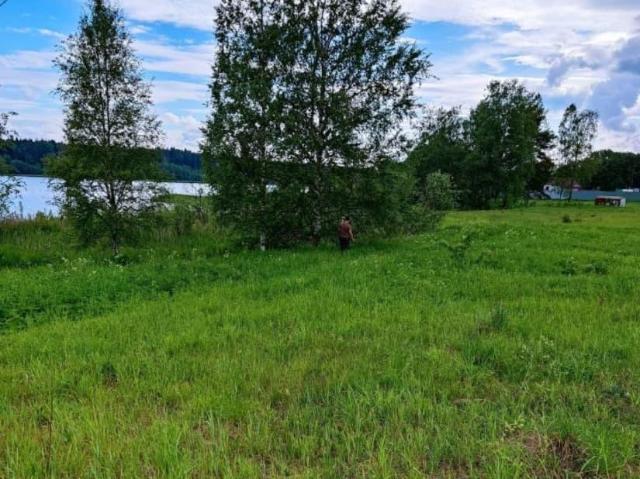 продажа загородная село Едрово улица Щебзавода