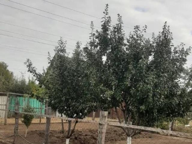 продажа загородная село Елшанка улица Вишневая