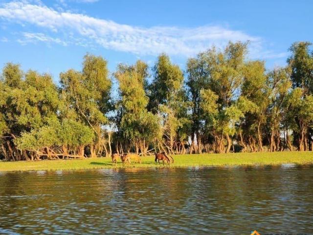 продажа загородная село Енотаевка улица Скворцова Степанова