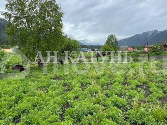 продажа загородная село Чепош ул. Кучияк, 26