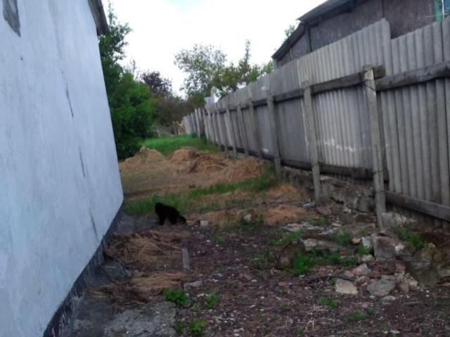 продажа загородная село Горностаевка улица Львовская, 6