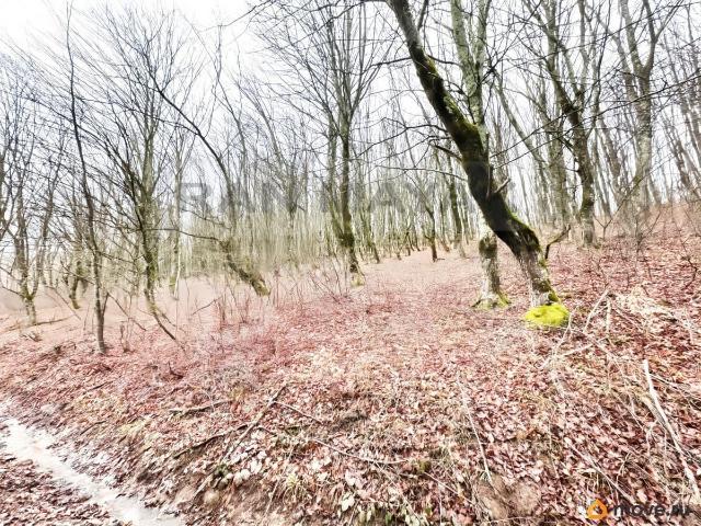 продажа загородная село Хамышки Полевая улица, 17