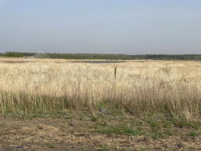 продажа загородная село Хомутинино ул. Луначарского, 55
