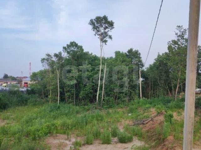 продажа загородная село Чигири улица Кедровая, 14В