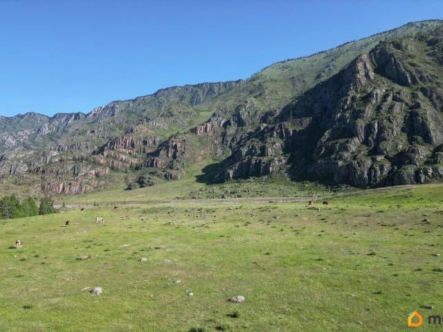продажа загородная село Иодро Центральная улица