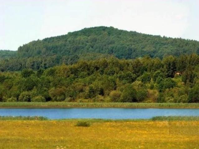 продажа загородная село Износки улица Ленина, 22