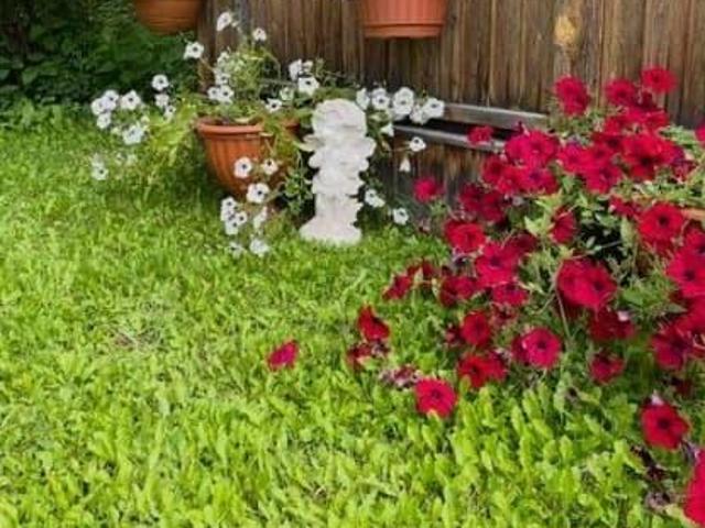 продажа загородная село Кашино улица Набережная, 28