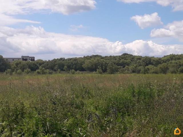 продажа загородная село Камышла улица Мира