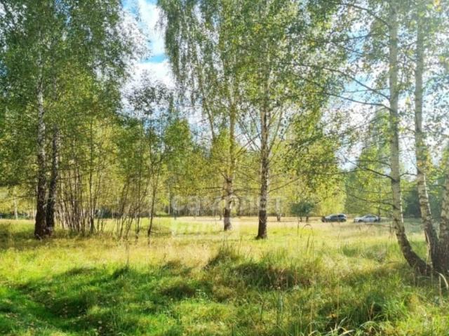 продажа загородная село Каменка улица Заводская
