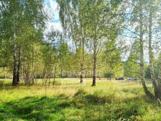 продажа загородная село Каменка улица Заводская