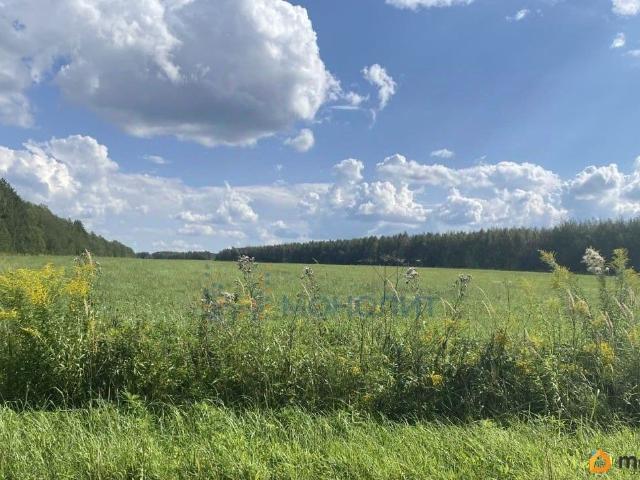 продажа загородная село Каменки улица Цветаевой