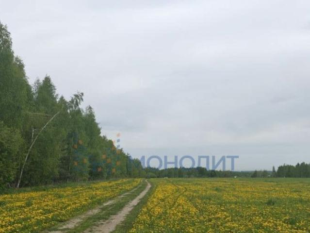 продажа загородная село Каменки улица Гоголя, 35