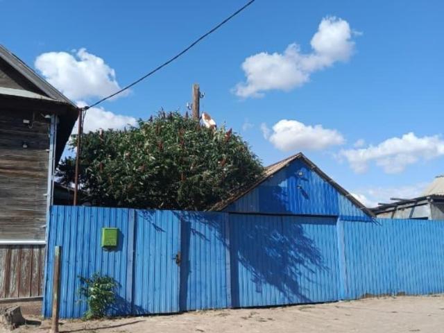 продажа загородная село Капустин Яр Кузнецкая улица, 1Б