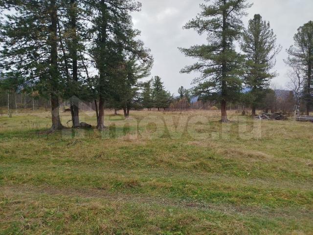 продажа загородная село Каракокша ул. Заречная ул