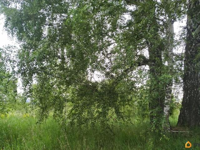 продажа загородная село Катково Трактовая улица