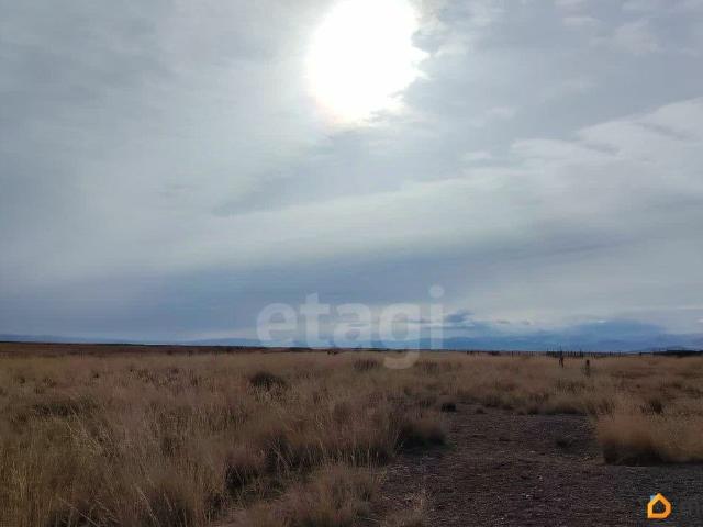 продажа загородная село Кош Агач ул. площадь Ленина