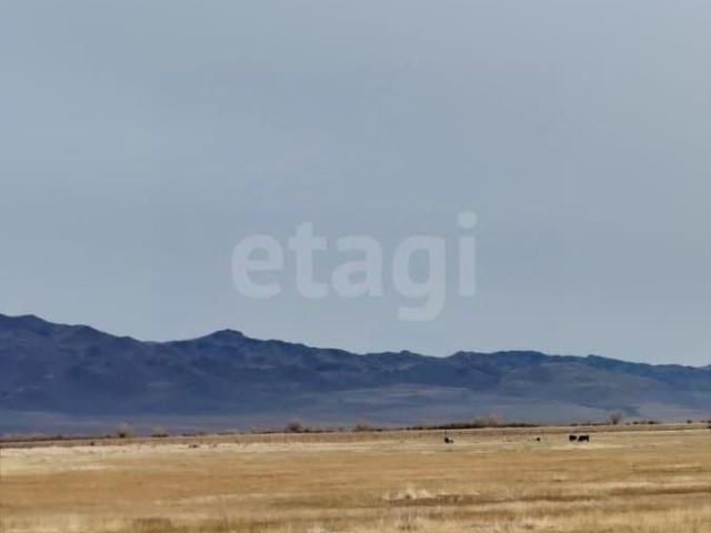 продажа загородная село Кош Агач ул. площадь Ленина