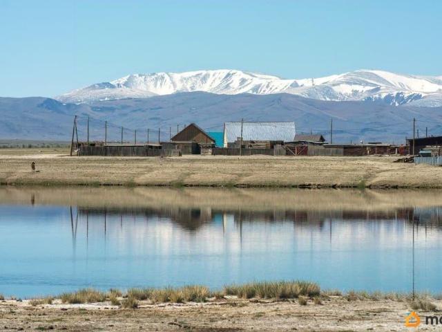 продажа загородная село Кош Агач улица Байтерек, 14