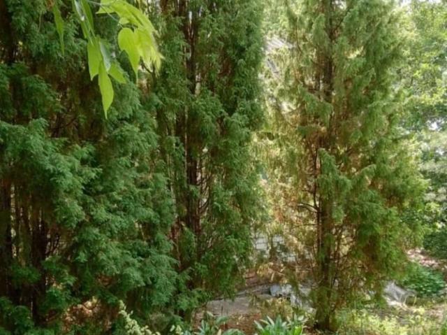 продажа загородная село Колывань Озерный переулок, 8