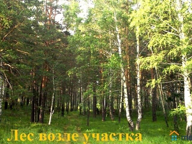 продажа загородная село Колывань улица Пушкина