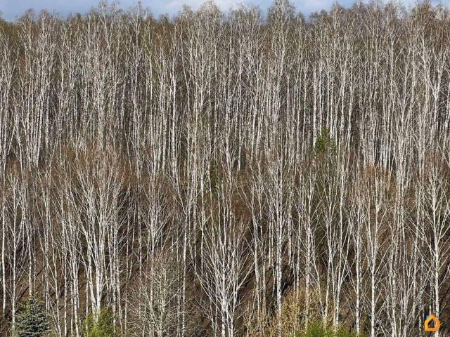 продажа загородная село Колчедан улица Советская, 26