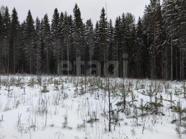 продажа загородная село Корткерос улица А.Г. Осипова
