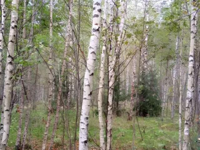 продажа загородная село Косково улица Лесная