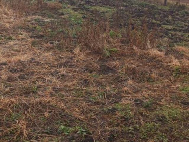 продажа загородная село Кляшево улица Новая, 10