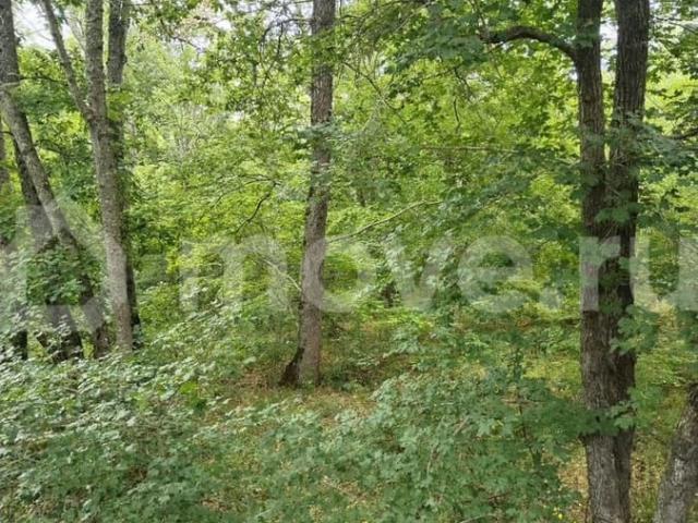 продажа загородная село Краснокаменка ул. Ленина