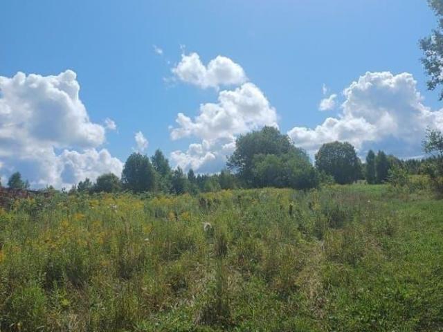 продажа загородная село Кременки улица Первомайская, 11