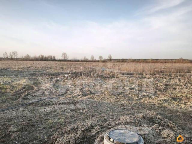 продажа загородная село Кубовая улица Лавандовая