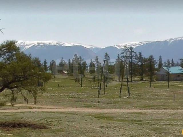 продажа загородная село Курай Алтайская улица