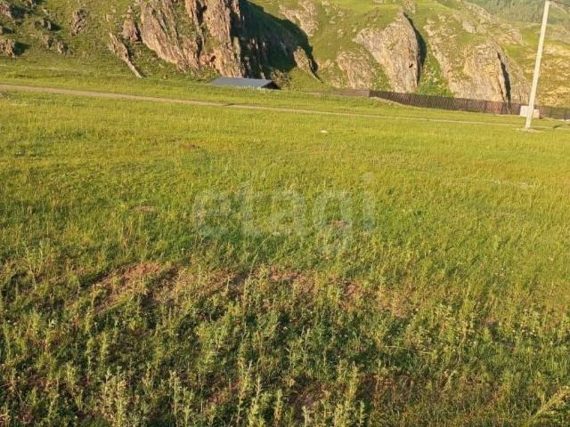 продажа загородная село Куюс Центральная улица