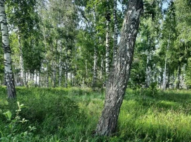 продажа загородная село Лесное переулок Северный, 12